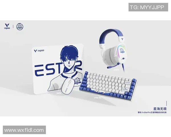 王者荣耀深度分析：探讨BLG战队中路突破的战术与策略