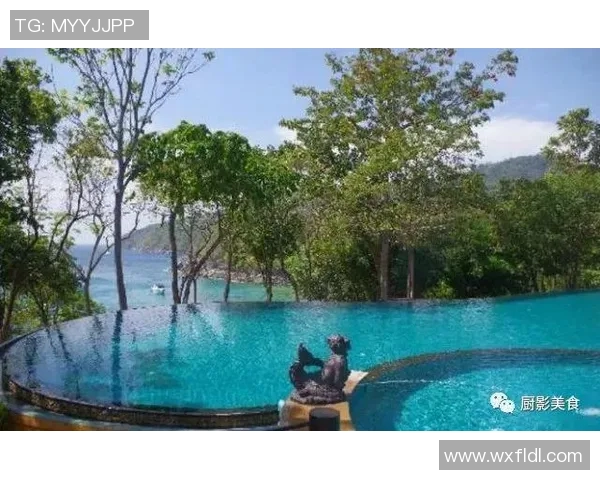 全球女子游泳明星风采大赏：突破极限的她们如何在泳池中创造辉煌