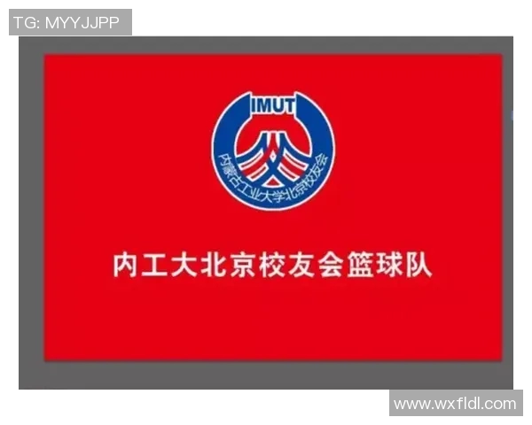 深圳篮球队精英赛表现分析团队配合与战术执行的关键因素探讨